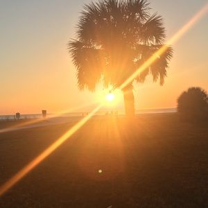 Meet your Posher, Abigail